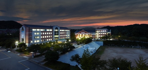 국제대학교